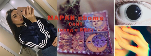 хмурый Алзамай