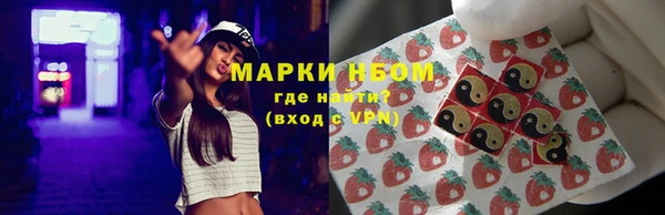 хмурый Алзамай