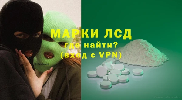 хмурый Алзамай