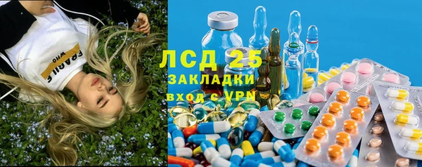 хмурый Алзамай
