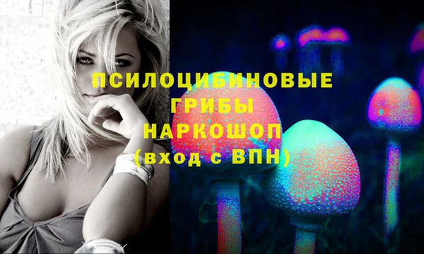 хмурый Алзамай