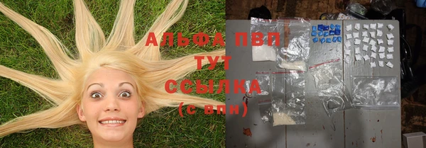 хмурый Алзамай