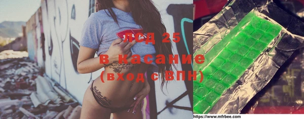 хмурый Алзамай