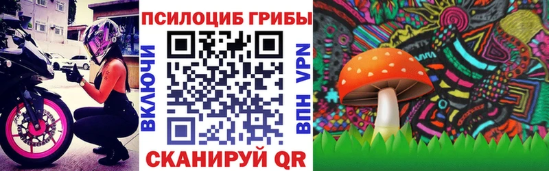 купить наркотик  Цоци-Юрт  мориарти наркотические препараты  Галлюциногенные грибы Psilocybe 